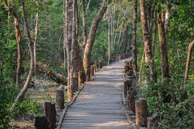 Sundarbans