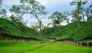 Sylhet